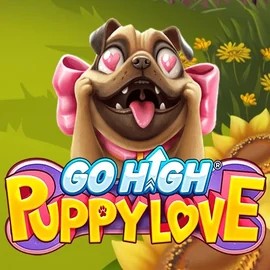 Go High Puppy Love casino game by RubyPlay – featured logo at Tikitaka Casino
